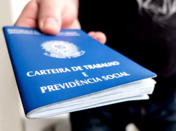 O que Muda com a MP Verde e Amarela - MP 905 de 2019? 