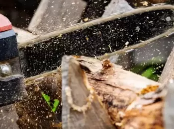 Gestor portuário indenizará carpinteiro que sofreu acidente com motosserra