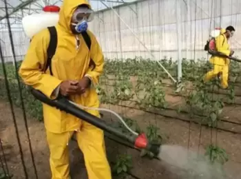 Prazo para pedir danos morais por exposição ao DDT conta da ciência de seus malefícios pelo agente de saúde