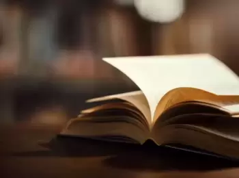 Danos em Espécie: Configuração Legal-Doutrinária