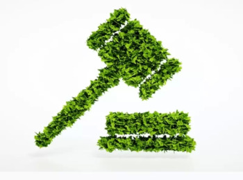 Partido político propõe ADPF para impedir sacrifício de animais 