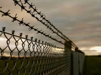 Sexta Turma Reduz Pena de Mandante da Morte da Deputada Ceci Cunha de 103 para 92 Anos