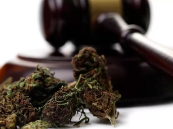 TJMG Dispensa Fiança e Mantém Liberdade Provisória