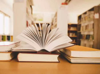 A Constituição Desrespeitada: A Inobservância dos Direitos das Minorias Parlamentares