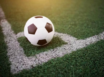 Botafogo Deverá Pagar Aviso Prévio, FGTS e Prêmios a Supervisor Técnico