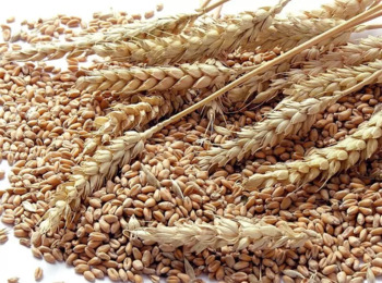 STF mantém validade de taxa de classificação de produtos vegetais