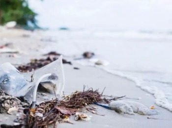 Proteção dos Oceanos na Convenção das Nações Unidas Sobre o Direito do Mar
