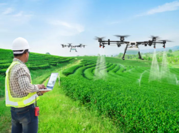 Para o STJ engenheiro agrônomo pode ser poluidor indireto