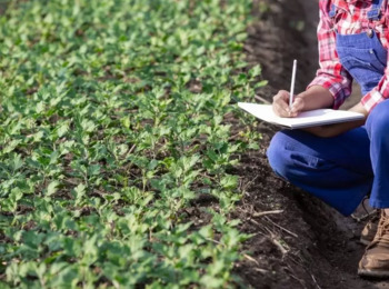 STJ Definirá se Tamanho de Propriedade Afeta Regime de Economia Familiar para Fins de Aposentadoria Rural
