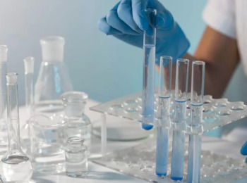 TJMG Mantém Revogada Preventiva por Falta de Indícios de Autoria