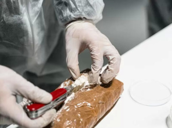 Suposto Líder de Organização que Vendia Cocaína a Estados Nordestinos Continua Preso