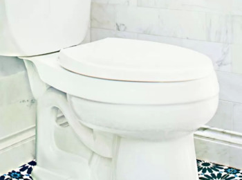 Empresa de Saneamento Indenizará Ajudante por Ausência de Banheiro em Via Pública