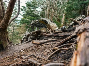 Justiça Estadual de Minas Gerais Vai Analisar Responsabilidades por Acidente com Avião de Marília Mendonça