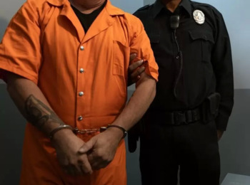 Operação Carne Fraca: STJ Reafirma que Investigado Não Tem Direito Subjetivo a Acordo de Não Persecução Penal