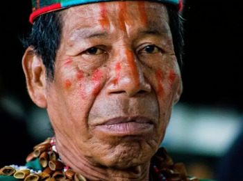 União e Funai Têm até Um Ano para Destinar Área de Sobrevivência ao Grupo Indígena Fulkaxó