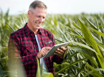 Segunda Seção Confirma Possibilidade de Produtor Rural Inscrito em Junta Comercial Pedir Recuperação