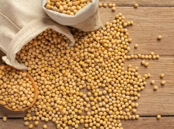 Na Recuperação Judicial, Produtos Agrícolas Não Podem Ser Enquadrados como Bens de Capital Essenciais