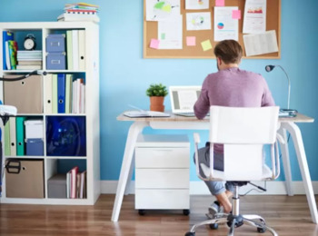 Lei do Teletrabalho: Sanção e Vetos