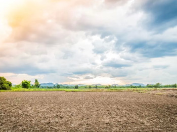 Anuência do Comprador Legitima Cobrança de Taxa de Manutenção em Loteamento antes da Lei 13.465/2017