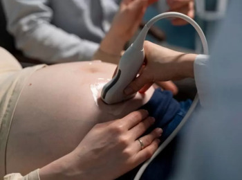 Ministro Jorge Mussi Indefere HC que Pedia Autorização para Aborto de Gêmeos Siameses 