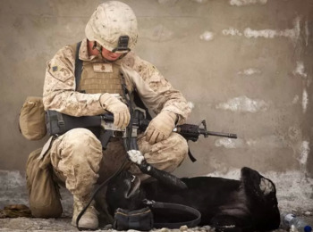 Primeira Seção Nega Reforma a Militar Temporário que Sofre de Doença sem Relação com o Serviço