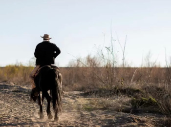 TST Anula Acordo Judicial em que Advogada de Vaqueiro Era Sobrinha do Patrão
