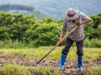 Mantida Prescrição em Processo por Supostos Prejuízos Causados pelo "Cartel do Suco de Laranja"