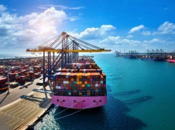 Portuário Avulso Não Receberá Adicional de Risco