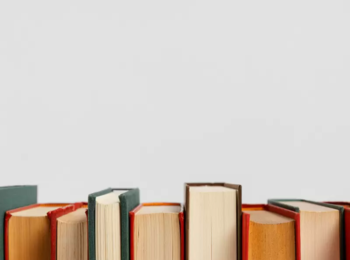 Lei de Crimes Ambientais 