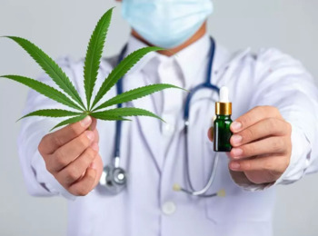 STJ Pacificou o Entendimento e Autorizou o Cultivo de Cannabis Medicinal