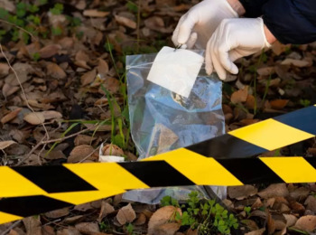 TJSP Revoga Progressão de Regime por Falta de Exame Criminológico