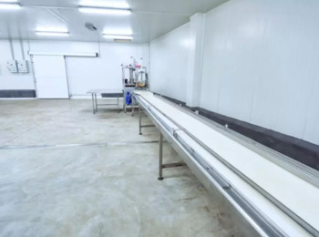 Mantida Validade de Prorrogação de Jornada em Frigorífico