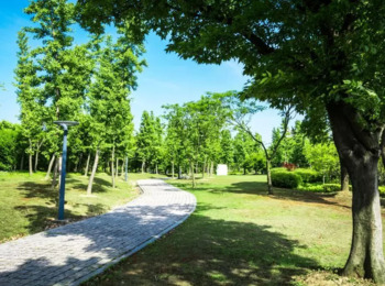 Primeira Turma Reconhece Desapropriação Indireta na Criação do Parque Nacional de Jericoacoara