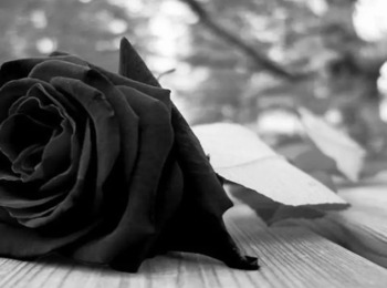 A Pensão por morte com a Reforma da Previdência