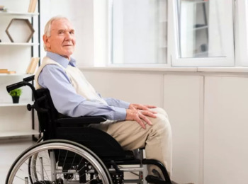 Direitos da Pessoa Idosa e da Pessoa com Deficiência  - A Jurisprudência do STJ 