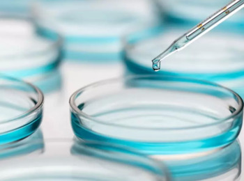 Plano de Saúde Deve Custear Criopreservação de Óvulos de Paciente com Câncer até o Fim da Quimioterapia