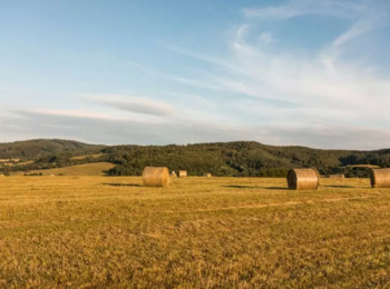 É Constitucional Lei que Regulamentou Desapropriação para a Reforma Agrária