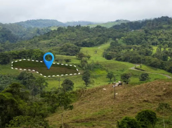 Sancionada Lei 14.701/2023 sobre o Reconhecimento e Gestão das Terras Indígenas