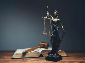 Regras e Princípios em Alexy: A Abordagem Qualitativa das Normas e sua Influência no Judiciário Brasileiro