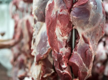 Açougueira Discriminada por Colegas e Chefe por Ser Mulher Receberá Indenização