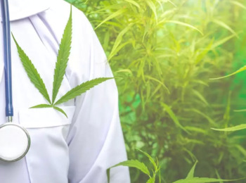 Cannabis Medicinal: Hipóteses Permitidas para Uso