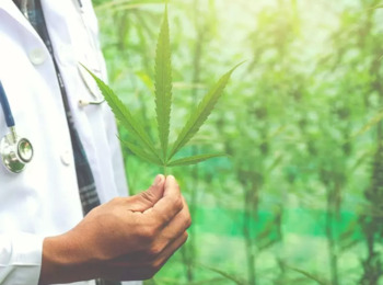 Expositores Debatem Uso Medicinal da Cannabis na Primeira Parte da Audiência Pública