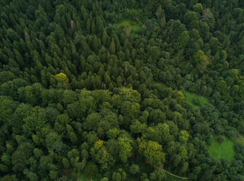 STJ confirma competência do Ibama para fiscalizar atividades com risco ambiental