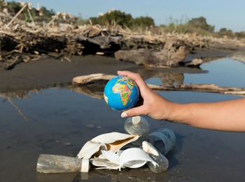 STF define que dano ambiental tem reparação imprescritível