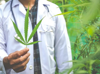 Julgamento de medicamentos derivados da cannabis pela Justiça Federal