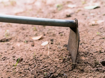 Familiares serão indenizados por cavarem cova de ente em Rio Grande da Serra