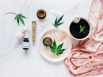 STJ: Cabe ao Estado, e não ao paciente, fiscalizar cultivo de cannabis medicinal