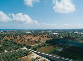 STJ suspende desocupação de área quilombola em disputa no ES