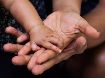 Reconhecimento e investigação parental