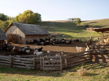 STJ reconhece validade de doação disfarçada de empréstimo sem escritura